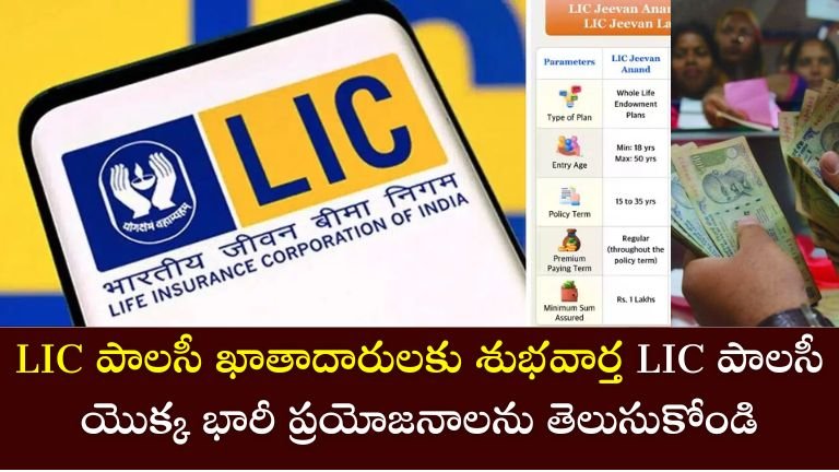 LIC policy